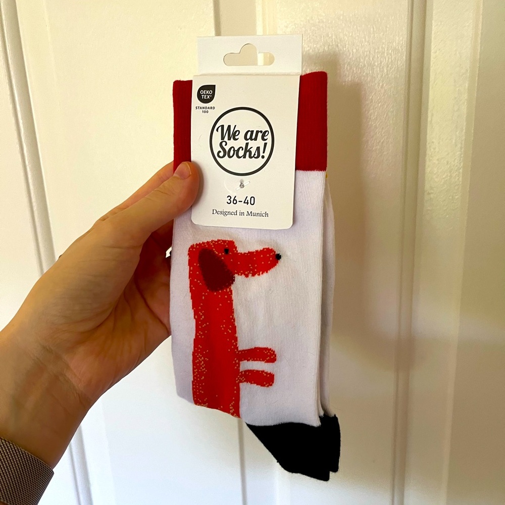 Weiner Dog socks 🧦